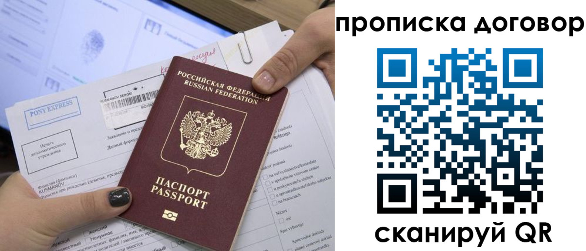 прописка гарантия в Нелидово